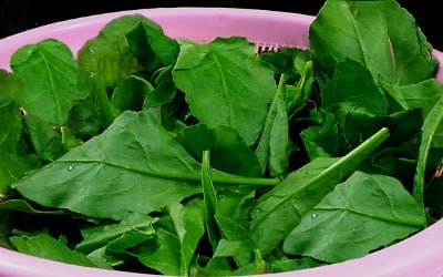 fresh-spinach-leaves-in-pink-basket