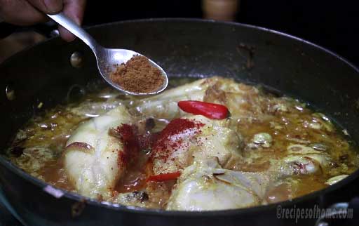 mix-turmeric-powder-kashmiri-red-chili-powder-biryani-masala-salt-vertically-sliced-green-chili