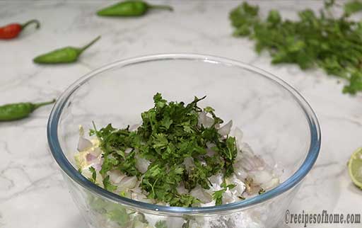 mix-chopped-coriander-leaves