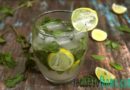 virgin mojito recipe , mojito mocktail recipe ,mojito drink