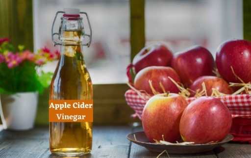apple cider vinegar trap
