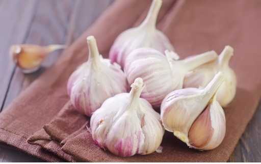 garlic on damp towl