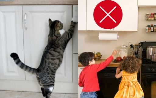 keep kids and pets out of kitchen