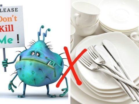 tips to check plate and cutlery are germ free
