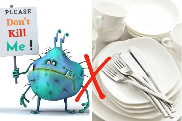 tips to check plate and cutlery are germ free