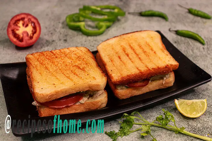 Chicken sandwich recipe | Chicken mayo sandwich