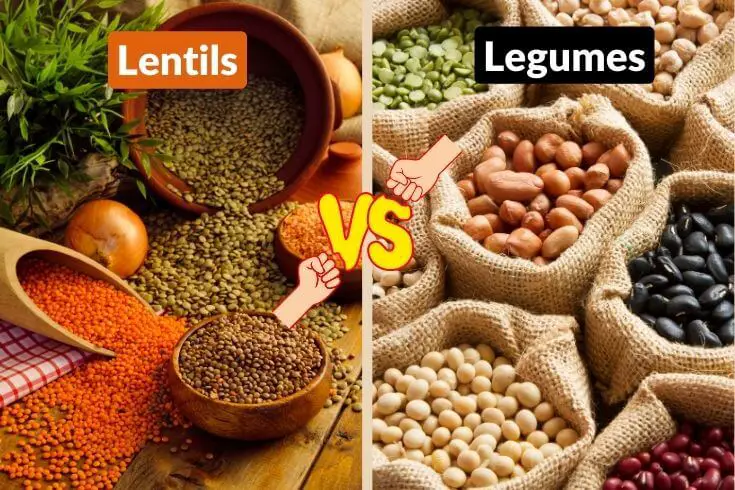 Difference between lentils and legumes