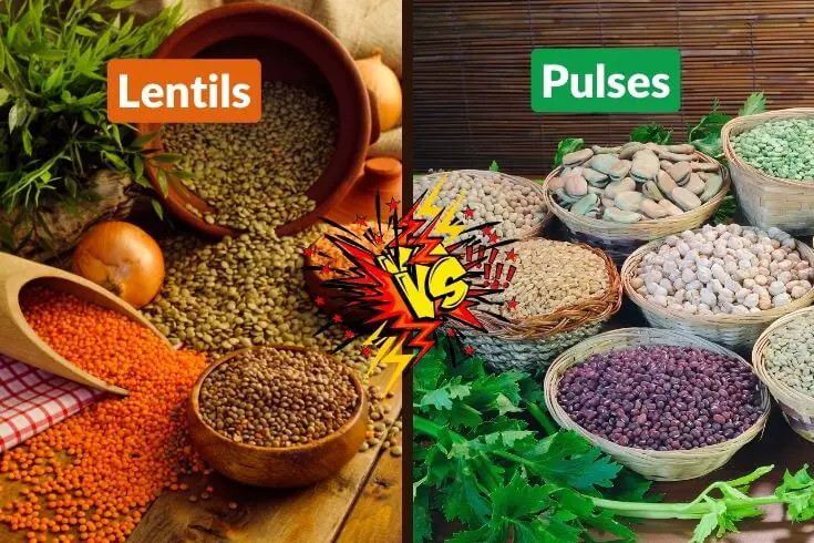 Difference between lentils and pulses