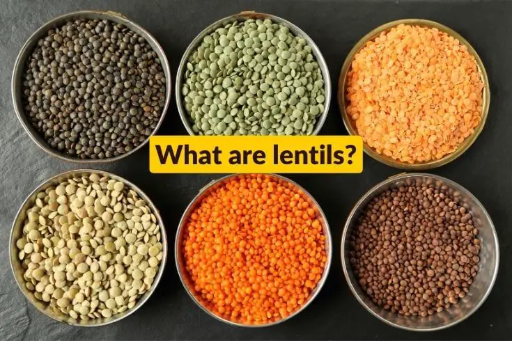 What are lentils
