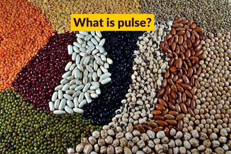 What is pulse