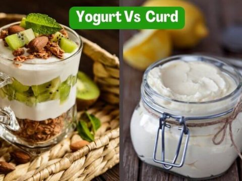 what is the difference between yogurt and curd