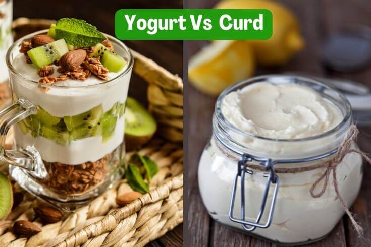 what is the difference between yogurt and curd