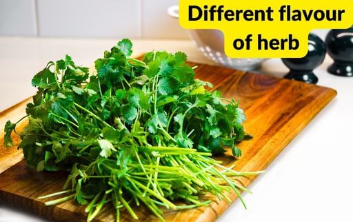 different flavours of herbs