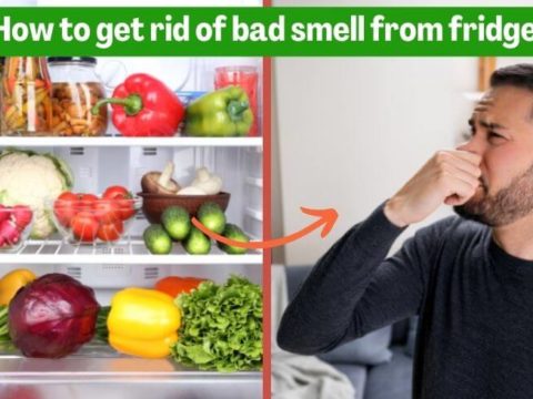 How to get rid of bad smell in your fridge