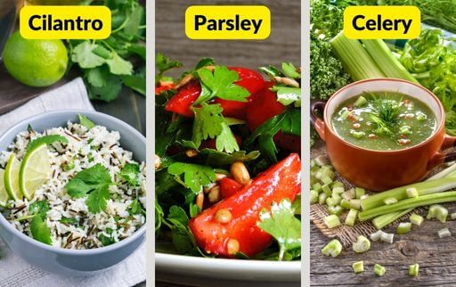 usage of herbs