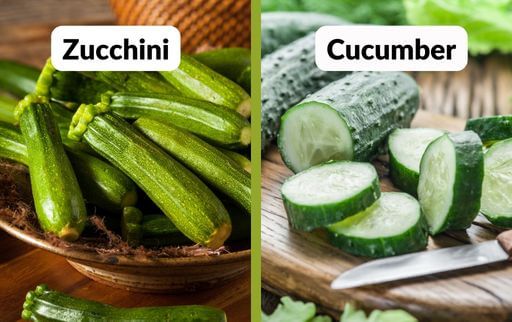 what is the difference between zucchini and cucumber