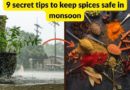 keep indian spices safe in monsoon
