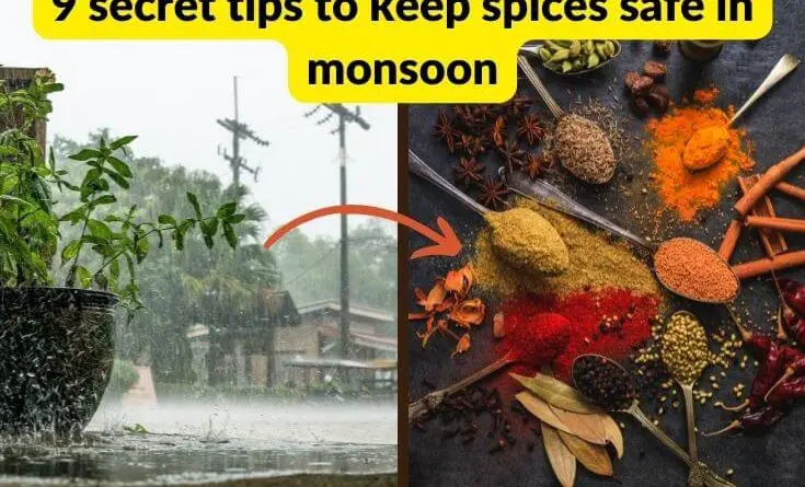 keep indian spices safe in monsoon