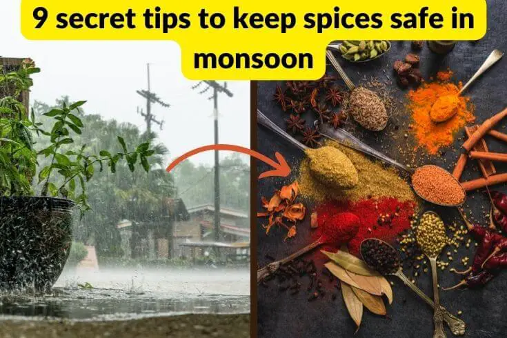 keep spices safe in monsoon