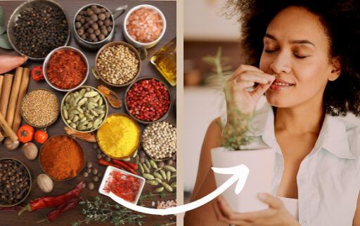 periodically check your spices