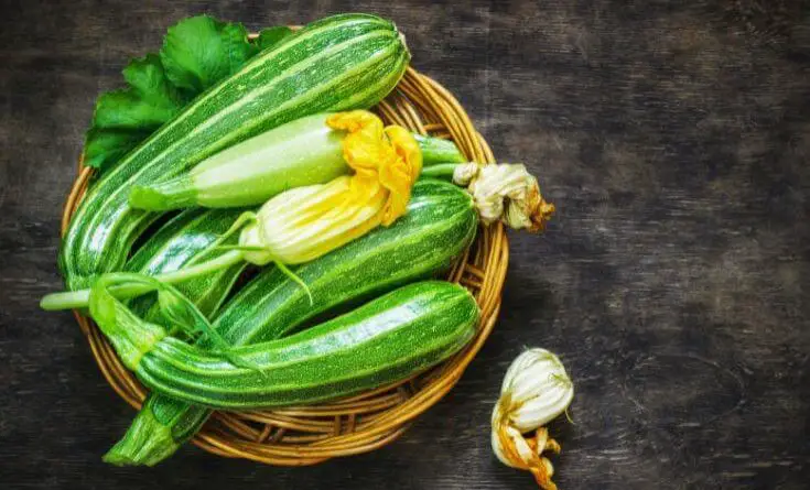zucchini , courgette