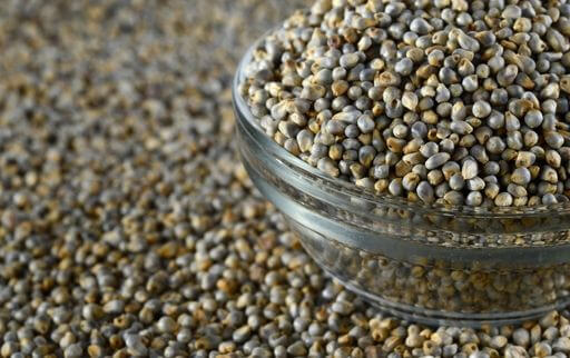 what is pearl millet