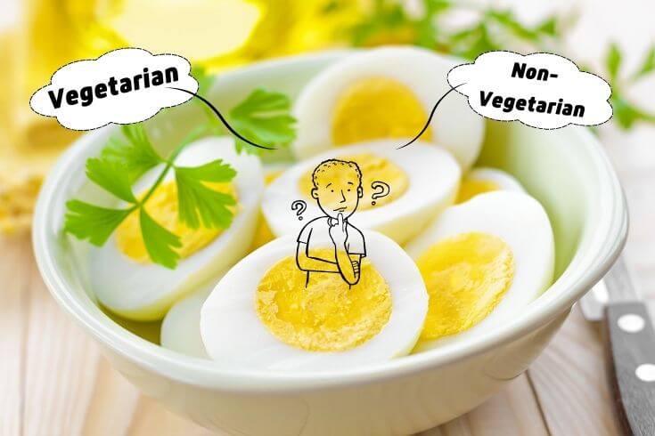 Egg is veg or non veg | Is egg vegetarian or non-vegetarian