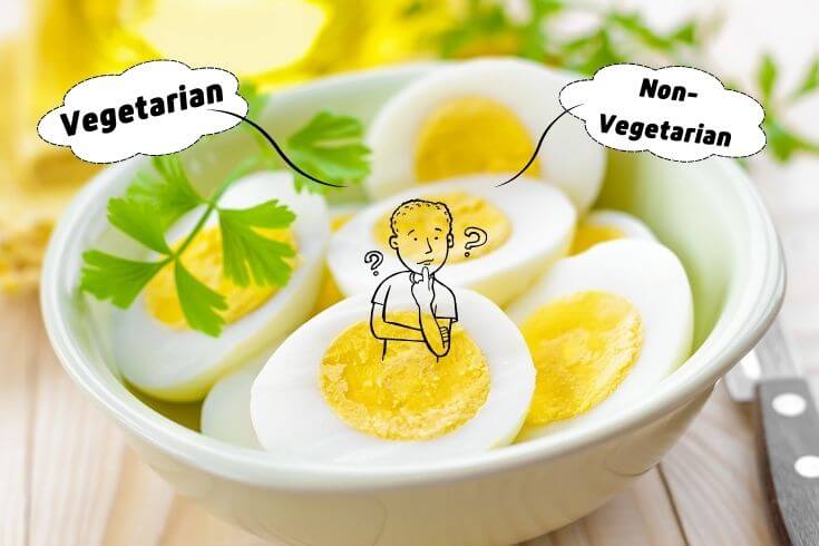 egg is veg or non veg ,