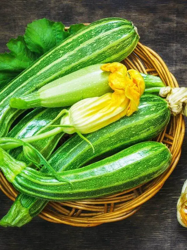 What is zucchini | Zucchini Benefits | Zucchini recipes