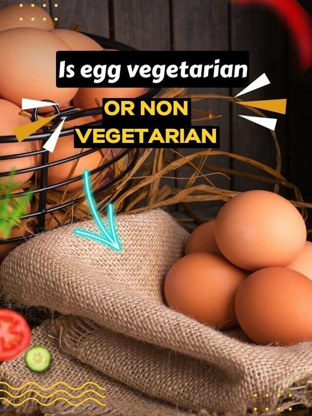 Is egg vegetarian or non vegetarian