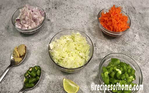 prepare shreaded cabbage, carrots , chopped onions , capsicum , chopped green chili , gineger and lemon juice
