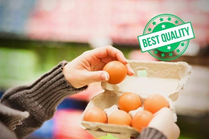 How to check quality of eggs at home