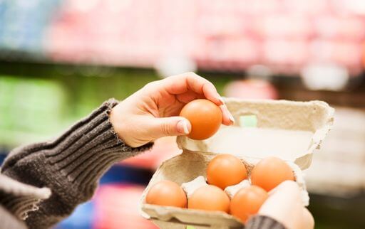 How to check quality of eggs by visual inspection