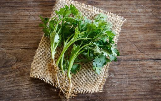 How to chop coriander leaves