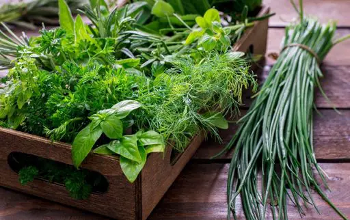 How to save fresh herbs for later use
