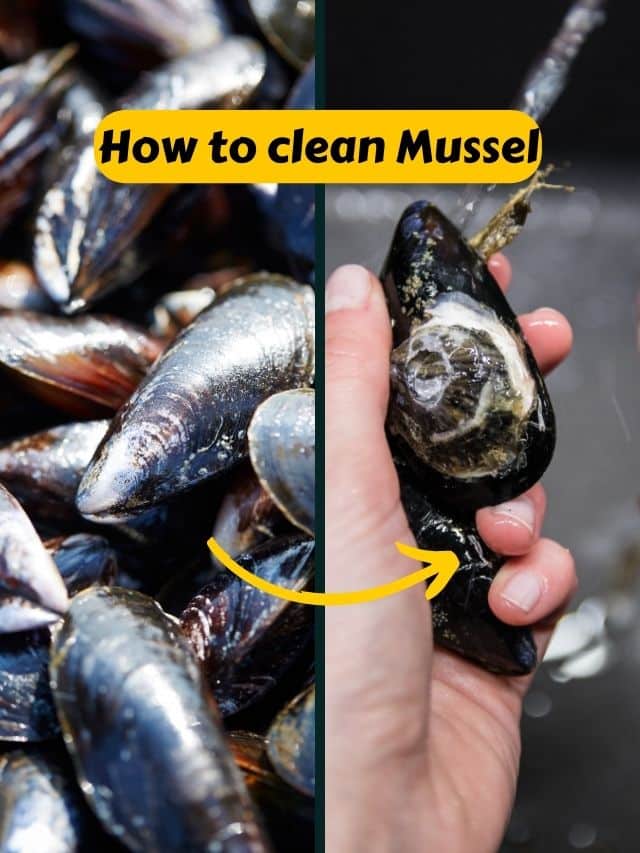 Kitchen tips How to clean mussels and debeard