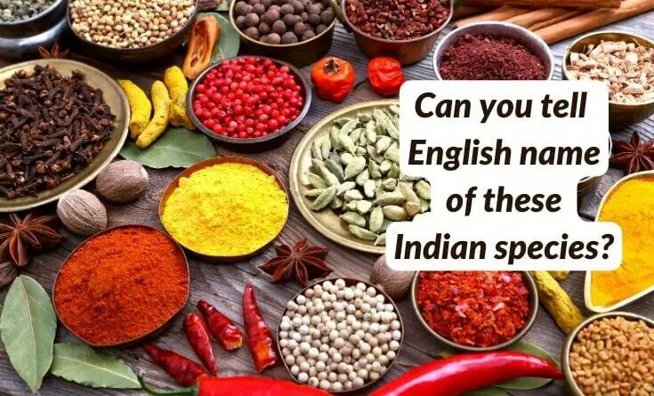 list of Indian spices , Indian spices name in english
