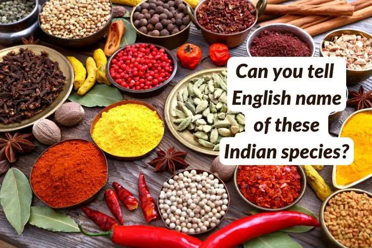 list of Indian spices , Indian spices name in english