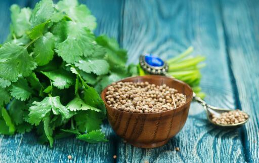 What are the benefits of Coriander Leaves