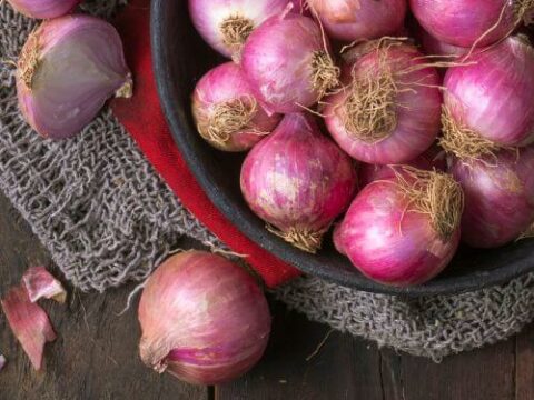 How to store onions for long term
