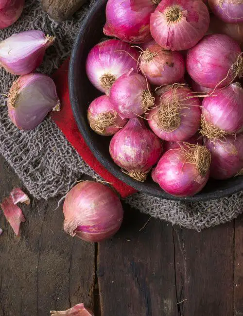 How to store onions for long term