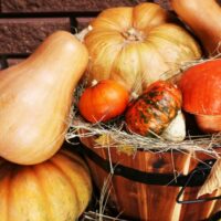 Types of Squash ( Summer & Winter Squash ) : How to cook squash