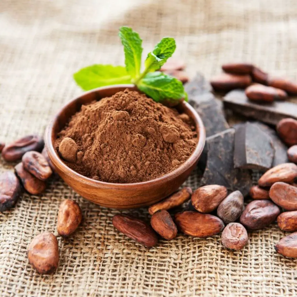 What is Cocoa Powder