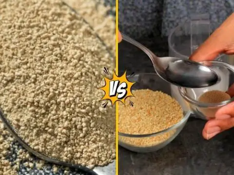 Active Dry Yeast vs. Instant Yeast: What's the difference