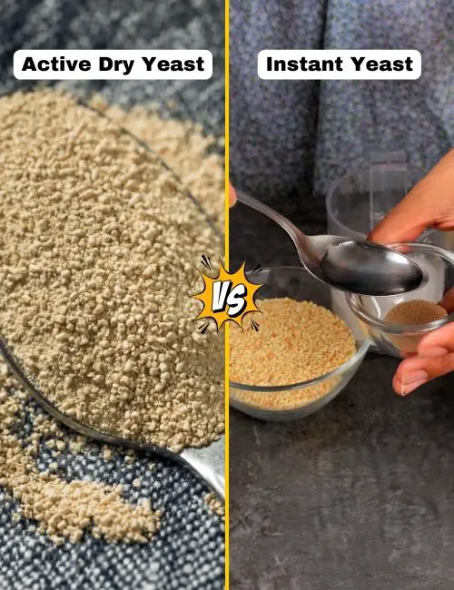 Active Dry Yeast vs. Instant Yeast: What's the difference