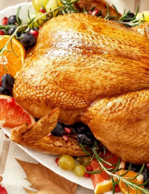 How to Cook a Turkey for Beginners