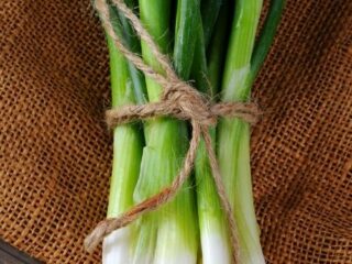 How To Store Green Onions 320x240 