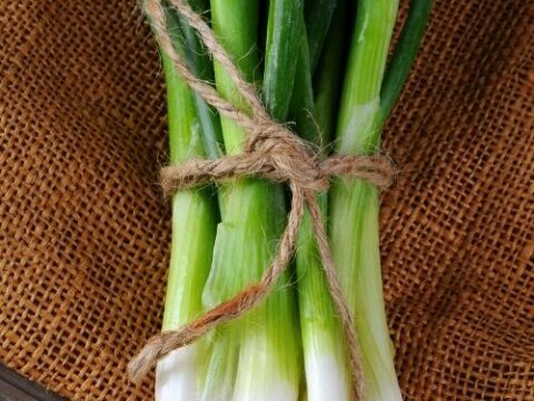 How to store green onions to keep them fresh