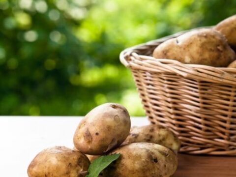 How to store potatoes to keep them fresh for longer