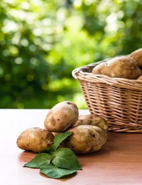 How to store potatoes to keep them fresh for longer